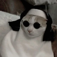 autora