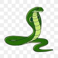 งู🐍