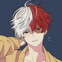 Todoroki