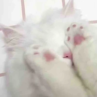 แอดเอง🫶🏻🥹