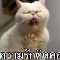 เจ๊หอยฝอยเก่ง(เเอดเองจร้า)