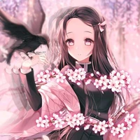 °•Nezuko•°
