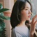 dong bella
