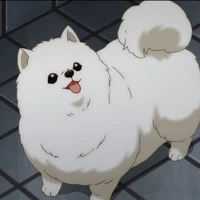 ฮัลจิ  (หมาเรียวจิ)