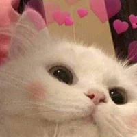 เเอดเองอ่ะ💘