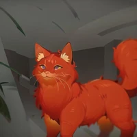 Red Cat