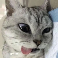 แอดไรประโยชน์😆(😩)