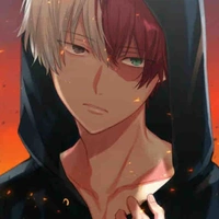 Shoto Todoroki