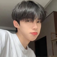 ชิน//นอ.