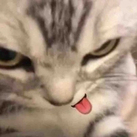 เเอด