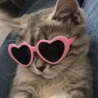 CRIADORA™