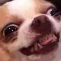 เเอดมิน