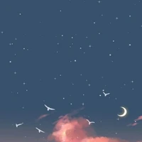 Unknown
