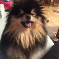 Tannie