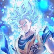 goku pui