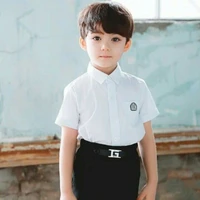 dhanis