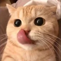 พ่อบ้านกลัวเมีย🙏