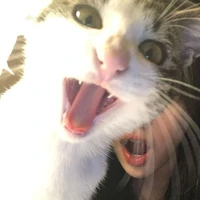 pungnom22