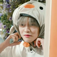 Zhong chenle