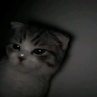 แอดเอง