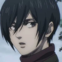 Mikasa Ackerman