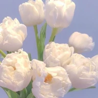 ยายจันทร์