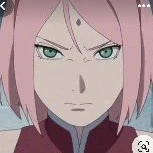 ♡sakura♡