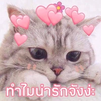 แอดงายคะ