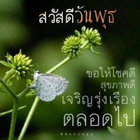 มอนสเตอร์