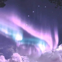 unknown