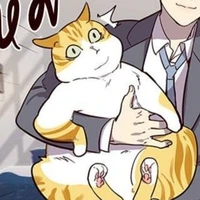 แมว