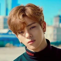Lee Woojin