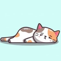 Lazy cat🤗(Author)