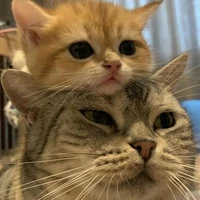 JonRay