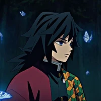 Aein the baka author