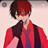 shoto todoroki(O.P)