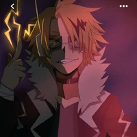 denki kaminari(O.P)