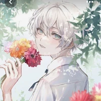 cherry