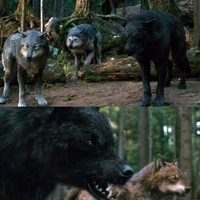 alfa beta ômega e delta