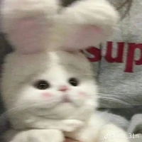 แมวน้อยของแอด(คนอ่าน)
