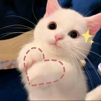 แอด