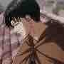 Levi