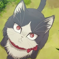 AKIHIKO cat form