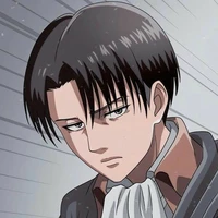 Levi