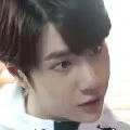เปรม(น้องของซูซี่)