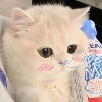 แอด