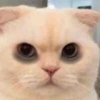 ʚĩɞ