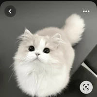 บาลชูก้า