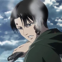 Levi
