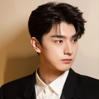 DYLAN WU SI CHENG